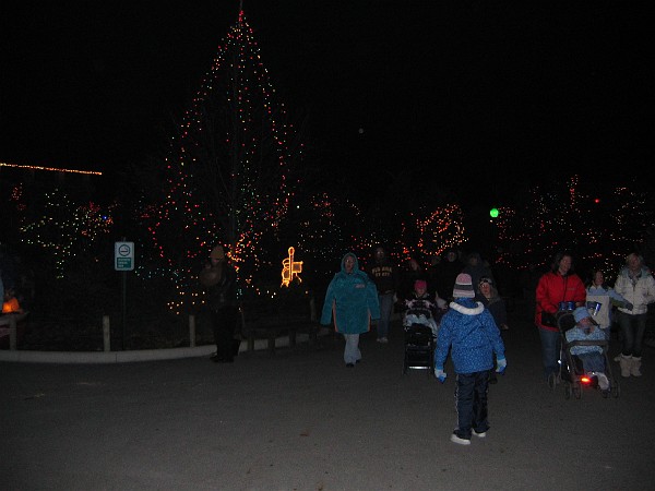 wildlights at zoo 004.jpg